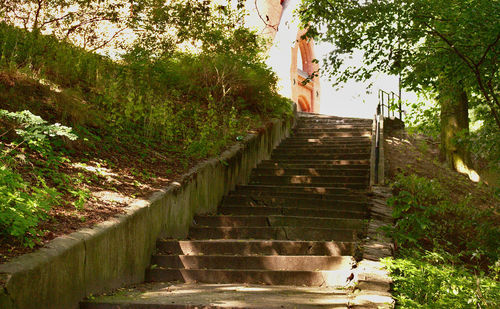 Low angle view of staircase in forest