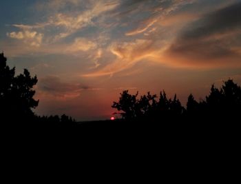 Silhouette trees against sky during sunset