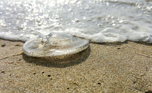 Close-up of sand on beach
