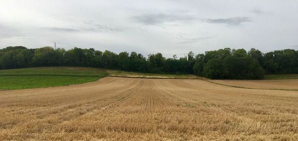 Scenic view of farm against sky