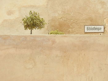 Text on wall