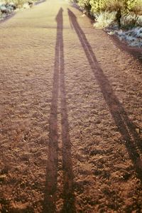 Shadow of people on road