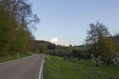 Road amidst trees against sky