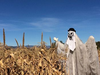 Low angle view of trees against blue sky