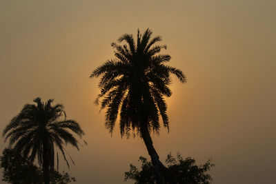 Silhouette palm trees against sky during sunset