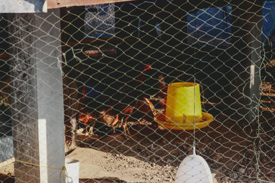 Close-up of chainlink fence