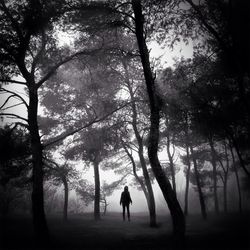 Woman standing on tree trunk