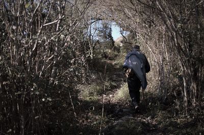 Rear view of man walking in forest