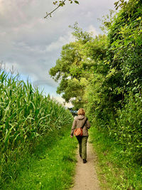 Rear view of woman walking on field