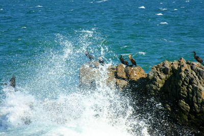 Waves splashing on rocks