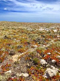 Scenic view of land against sky