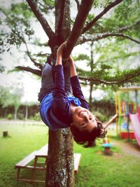 Portrait of smiling playful boy hanging from branch at playground