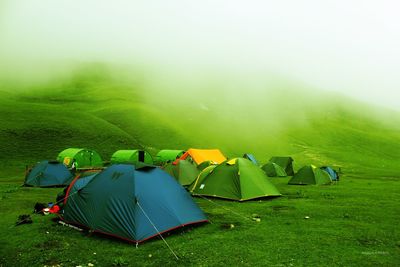 Scenic view of grassy field against sky