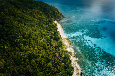 High angle view of sea and trees