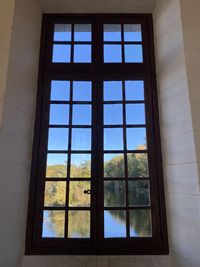 Reflection of trees on building seen through window