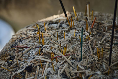 Close-up of burnt incense