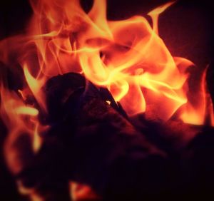 Close-up of bonfire