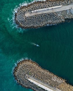 High angle view of coral in sea