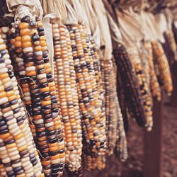 Close-up of food for sale in market