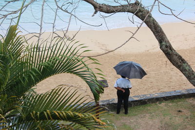 Full length rear view of man walking in rain