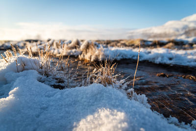 Close-up of snow covered land against sky