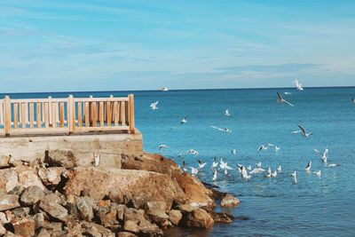 View of seagulls by sea against sky