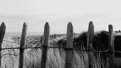 Wooden posts in sea against sky