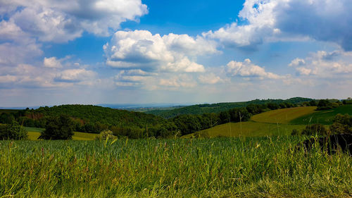 Scenic view of field against sky