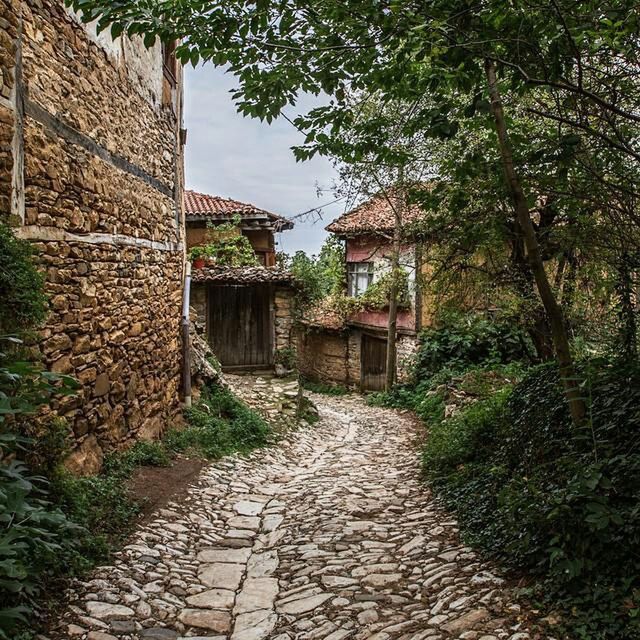 architecture, built structure, the way forward, building exterior, cobblestone, walkway, footpath, house, pathway, narrow, plant, wall - building feature, stone wall, diminishing perspective, residential structure, alley, tree, day, outdoors, paving stone