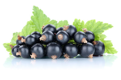 Close-up of blueberries against white background