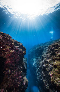 Low angle view of sea against bright sun