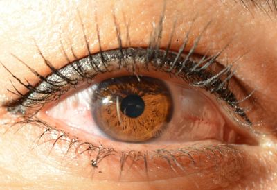 Close-up of brown woman eye