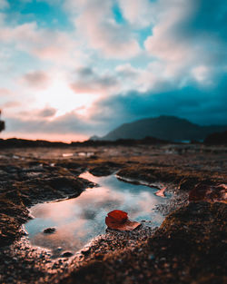 Surface level of land against sky at sunset