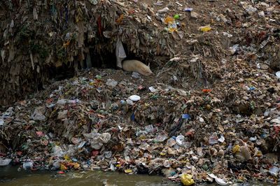 Garbage in water
