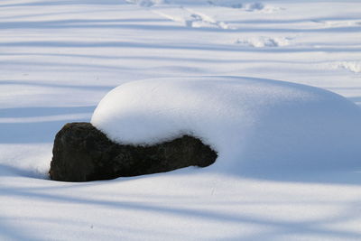 Close-up of snow covered land