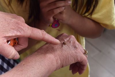 Cropped image of grandmother hands showing insect to granddaughter