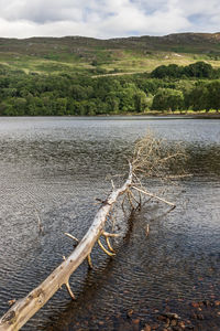 Scenic view of river against sky