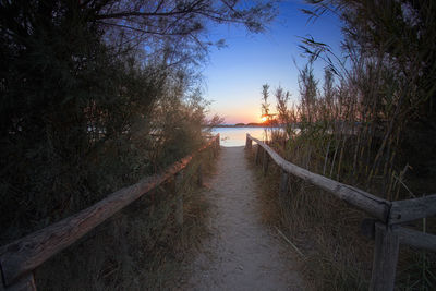 Footpath amidst trees against sky