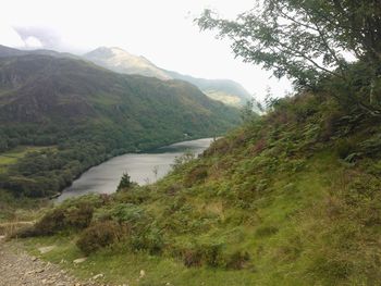 Scenic view of river and mountains