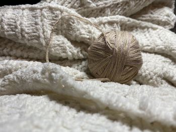 Close-up of feather on white background