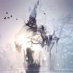 Low angle view of trees against sky