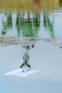 High angle view of leaf floating on water