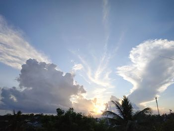 Low angle view of palm trees against sky