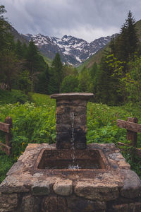 mountain