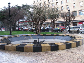 View of trees in city