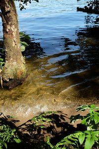 High angle view of rippled water