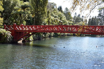 Bridge over river against trees