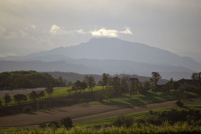 Scenic view of agricultural field against sky