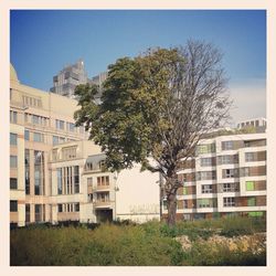 Buildings in city