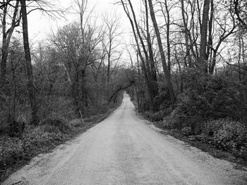 Empty road along trees